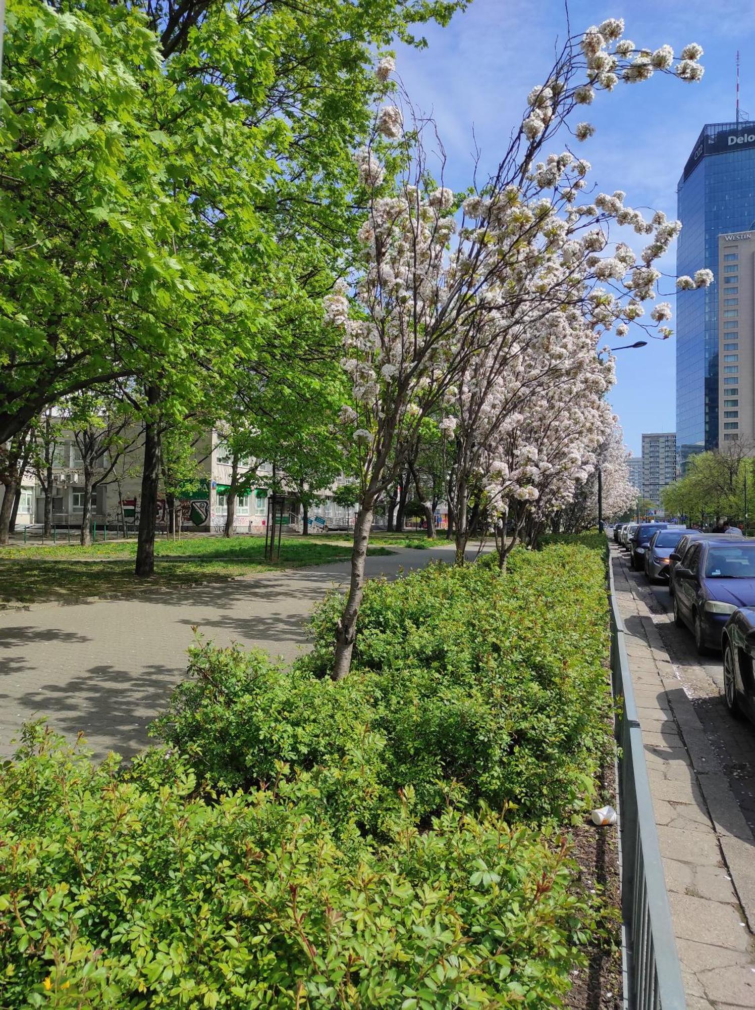 Bosa Warsaw Centrum Apartment Grzybowska39 외부 사진